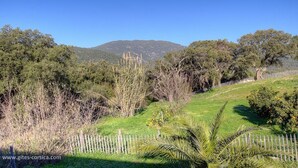 A grassy landscape with trees and a mountain in the background. - The Orange Tree - SOLLACARO (SOLLACARO)