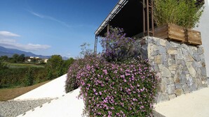 Um edifício moderno com fachada de pedra, deck de madeira e jardim com flores roxas.