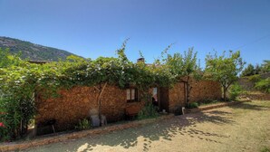 A stone building with a vine-covered wall, a bench, and a small door. - La Cardiccia - BALOGNA (BALOGNA)