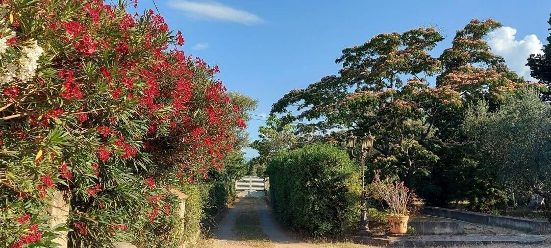 En gång som kantas av frodig grönska och blommande växter, och som leder fram till en byggnad med en överbyggd entré.