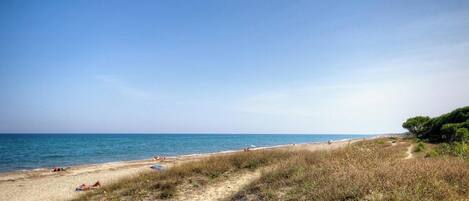 Playa