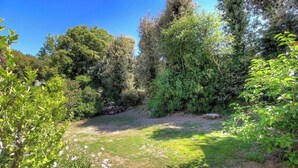 A garden with dense foliage, a clear sky, and a gravel path. - U Castagnu - CANNELLE D'ORCINO (CANNELLE D'ORCINO)