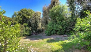 Ein Garten mit üppiger Vegetation, blauem Himmel und einem Kiesweg.