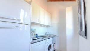 A compact kitchen with a washing machine, a coffee maker, and a sink. - U Castagnu - CANNELLE D'ORCINO (CANNELLE D'ORCINO)