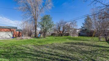 A residential backyard with a grassy lawn, trees, a blue slide, and a house.