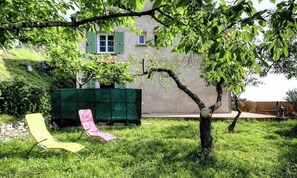 Un patio con césped, un árbol, dos sillas y una estructura verde.