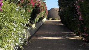 Un sendero pavimentado bordeado de exuberante vegetación y plantas florecientes.