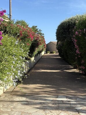 Un sendero pavimentado bordeado de exuberante vegetación y plantas florecientes.