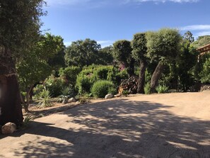 Ein gepflasterter Weg schlängelt sich durch einen angelegten Garten mit verschiedenen Pflanzen und Bäumen.