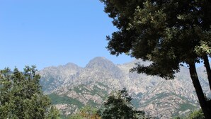 Eine gebirgige Landschaft mit felsigem Gelände und Bäumen.