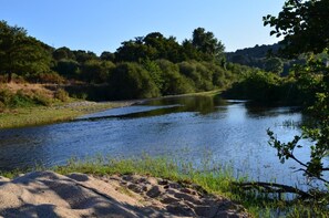 Ein Fluss mit sandigem Ufer und dichter Vegetation.