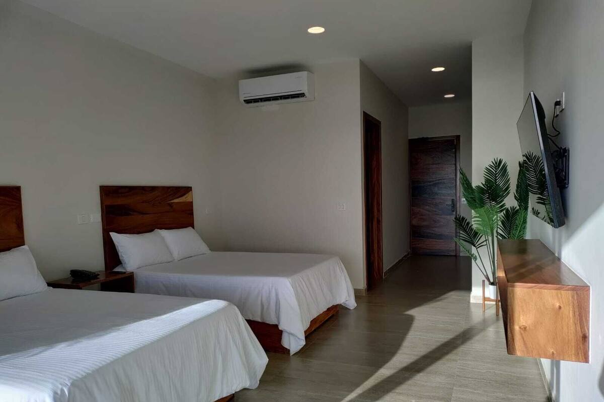 Habitación de hotel con dos camas, cabecera de madera, aire acondicionado instalado en la pared, mesita de noche de madera, televisor y una planta.