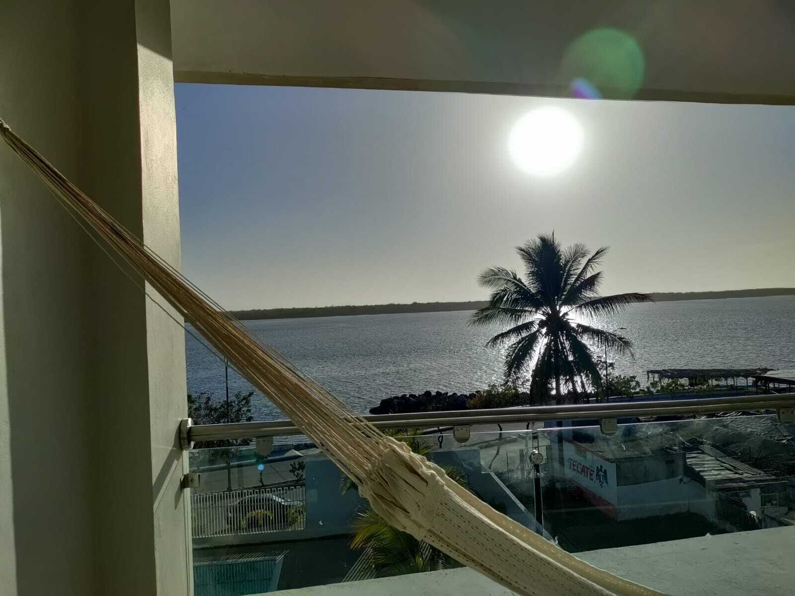 Un balcón con vista al agua y una palmera.