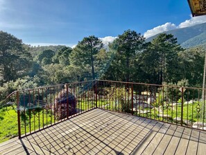 Eine Holzterrasse mit Metallgeländer, die einen üppigen, grünen Landschaftsbereich mit Bäumen und einem Berg im Hintergrund überblickt.