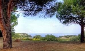 A coastal landscape with trees and a view of the sea. - Davia - CORBARA - Gîte (CORBARA)