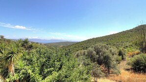 Paesaggio con vegetazione lussureggiante, cielo sereno e montagne sullo sfondo.