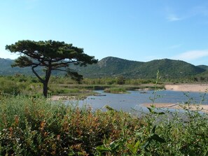 Sekalaista