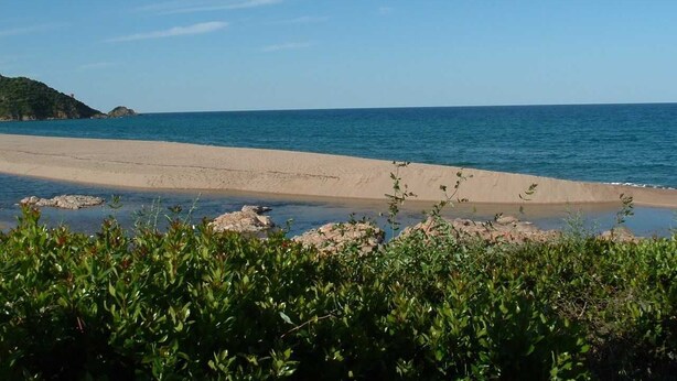 Una spiaggia con acqua cristallina, una riva sabbiosa e vegetazione verde sullo sfondo.