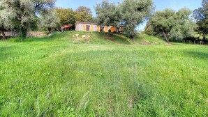 Un campo erboso con un muro in pietra e un edificio con tetto in tegole.