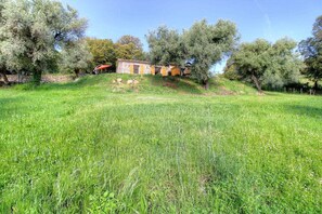 A grassy field with a stone wall and a stone building with a tiled roof. - Les Bergeries de Paomia (CARGESE)