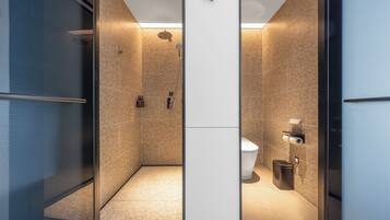 Habitación individual básica, vista a la ciudad | Baño | Secadora de cabello, pantuflas, toallas, shampoo