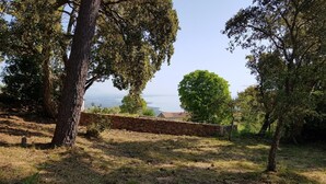 A stone wall, trees, and a view of the sea. - Gîte U Forro - SARI SOLENZARA (SARI SOLENZARA)