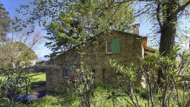 A stone house with a green shutter, surrounded by trees and vegetation. - Gîte U Forro - SARI SOLENZARA (SARI SOLENZARA)