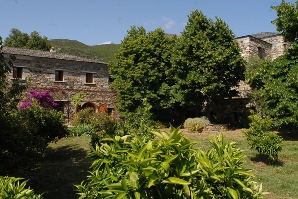 Exterior - Vrbo Property (PATRIMONIO)