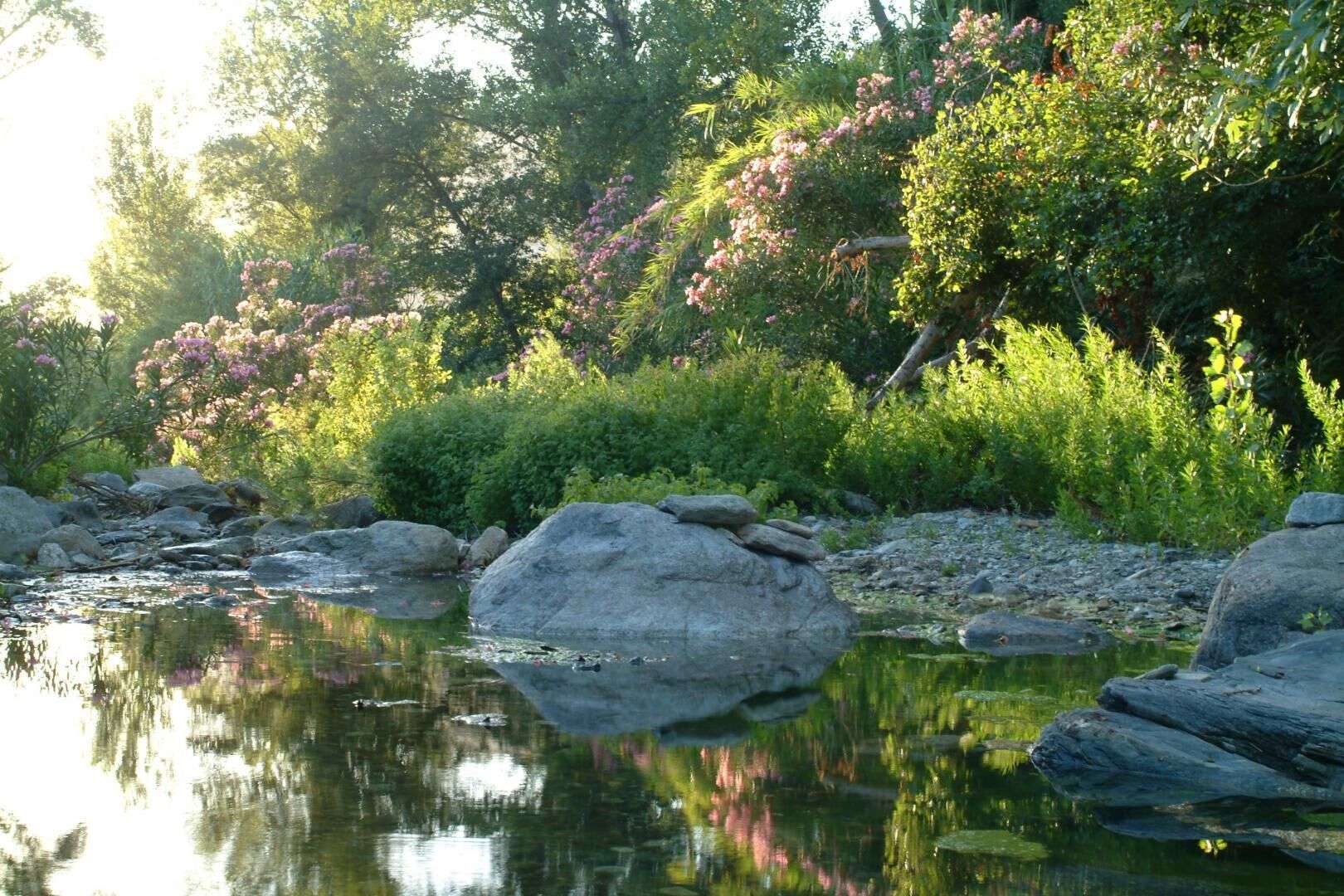 A natural landscape with a calm river, rocks, and dense greenery.