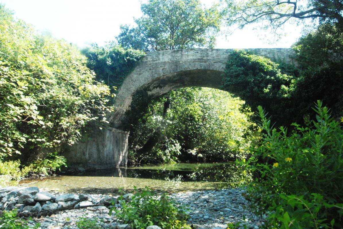 A stone bridge over a river surrounded by greenery.