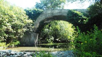 A stone bridge over a river surrounded by greenery.