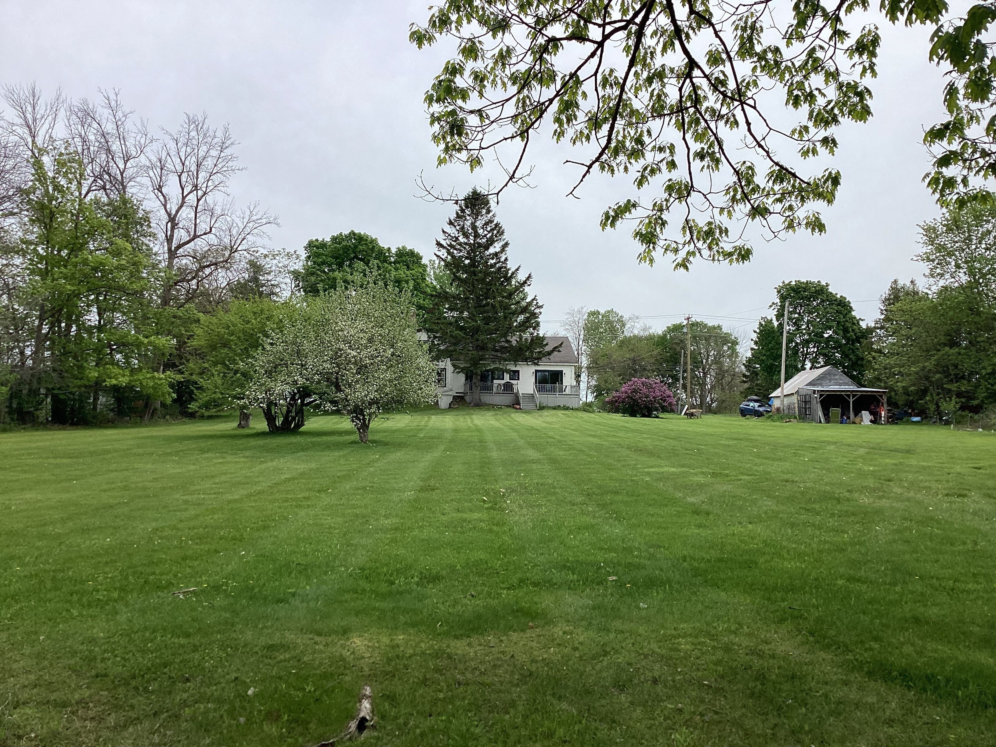 Property grounds