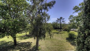 A grassy outdoor area with trees and a clear sky. - Résidence U Quarciu - GHISONACCIA (GHISONACCIA)