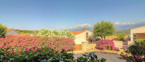 A residential area with houses, a clear sky, and pink flowering plants.