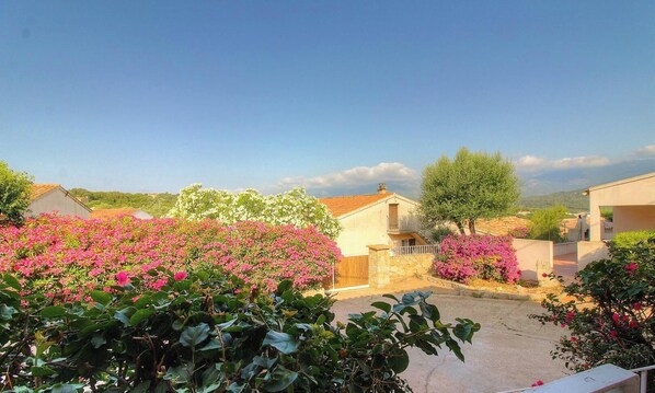 Ein Wohngebiet mit Häusern, blauem Himmel und rosa blühenden Pflanzen.