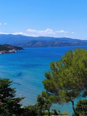 A coastal landscape with clear blue sea, distant mountains, and green trees. - Le 62861 - FARINOLE - Gîte (FARINOLE)