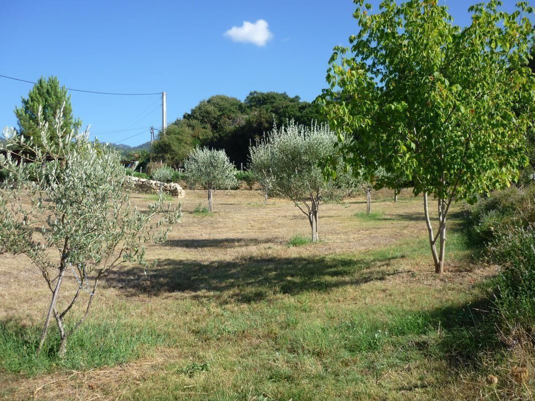 An outdoor area with trees and a clear sky.