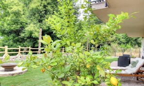 Eine Terrasse mit einer kleinen Pflanze, einem runden Tisch und einer Liege.