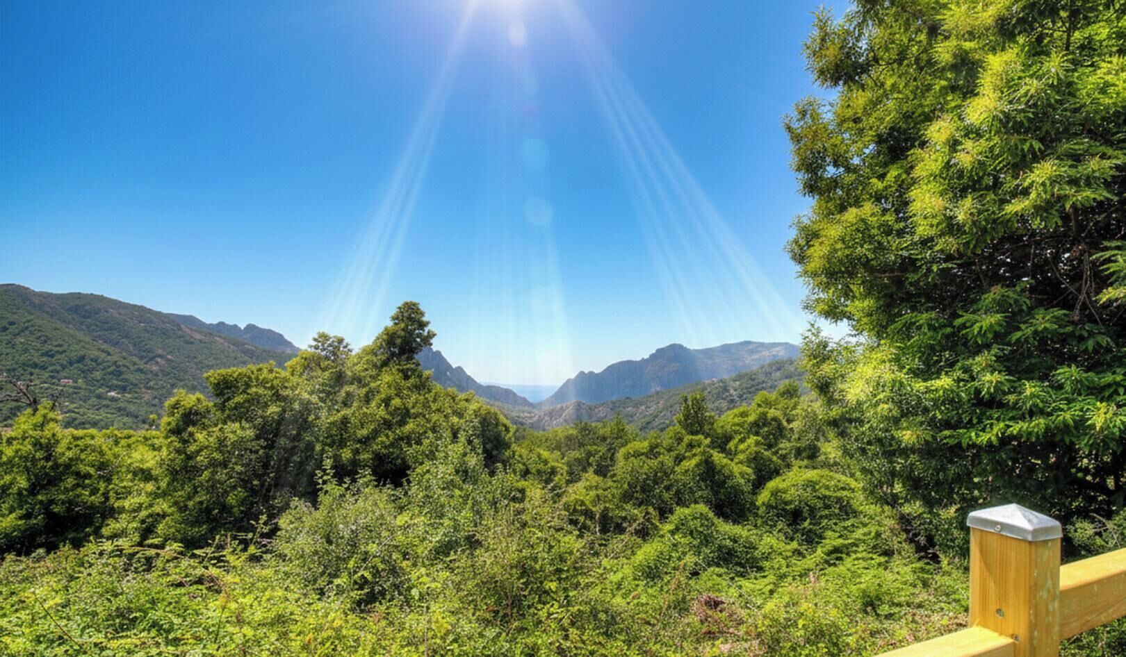 Vista desde la propiedad
