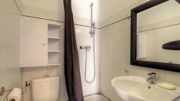 Shower, hair dryer