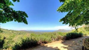 Ein unbefestigter Weg führt zu einer Aussichtsplattform mit freiem Blick auf die fernen Hügel und einen blauen Himmel.