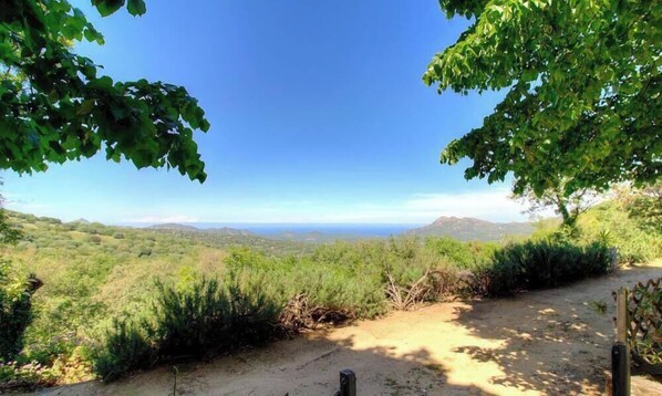 Ein unbefestigter Weg führt zu einer Aussichtsplattform mit freiem Blick auf die fernen Hügel und einen blauen Himmel.
