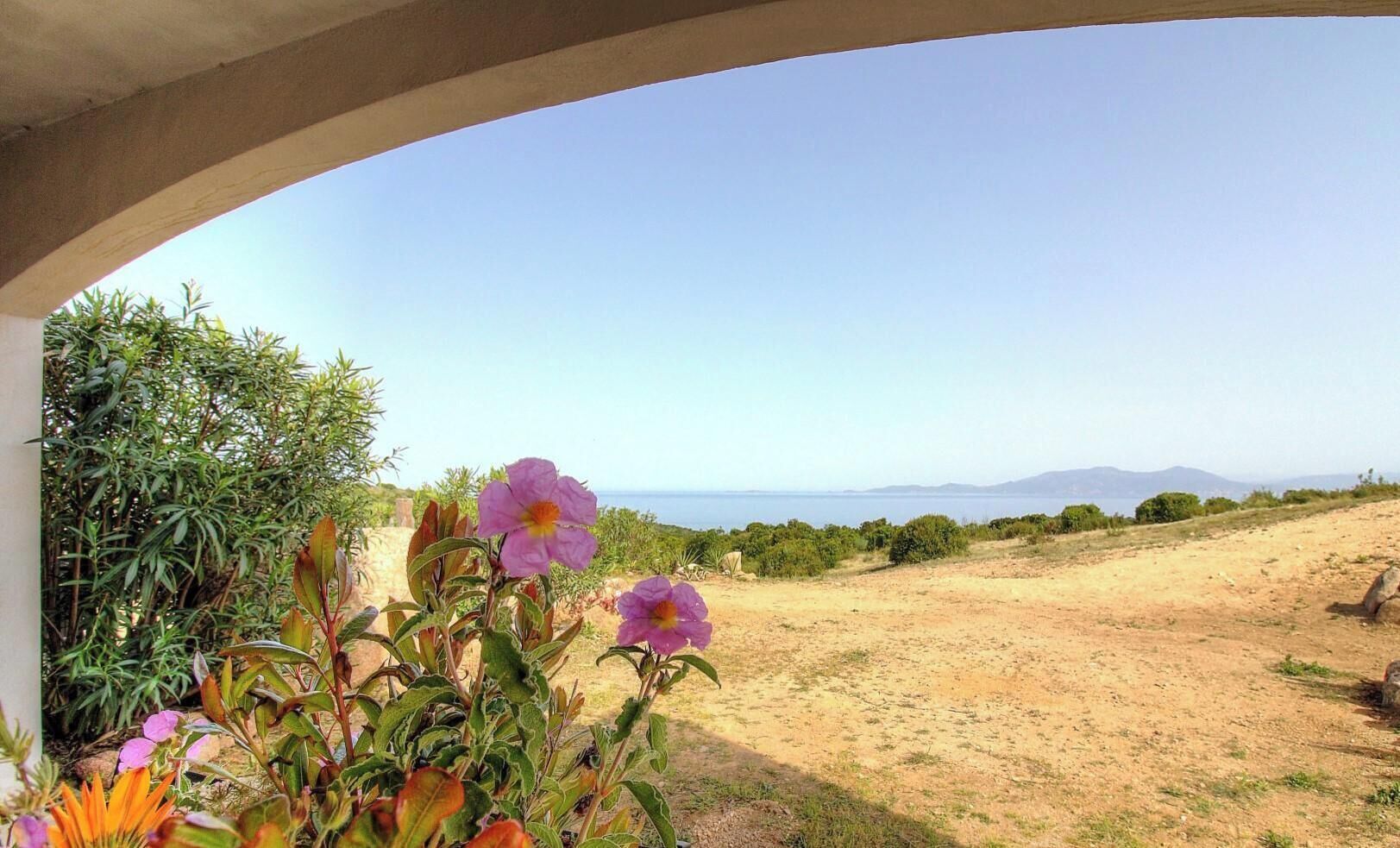 A view through an arched window overlooking a dirt path, with purple flowers in the foreground and a distant landscape with mountains.
