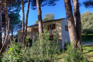 Exterior - Vrbo Property (PATRIMONIO)