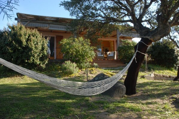 A hammock tied to a tree in front of a house with a porch and outdoor seating. - Myrtle - MONACIA D'AULLENE (MONACIA D'AULLENE)