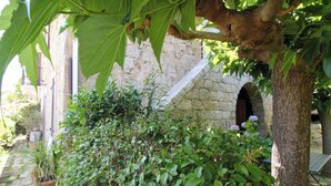 Un bâtiment en pierre doté d’une porte en bois et d’une petite arche, entouré d’une végétation luxuriante et de plantes en pot.