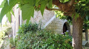 Ein Steinhaus mit Holztür und kleinem Rundbogen, umgeben von üppiger Bepflanzung und Topfpflanzen.