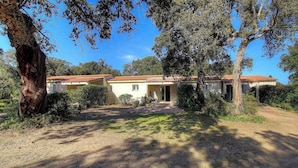 Une maison à deux étages, avec un toit recouvert de tuiles, entourée d’arbres et bordée d’une allée en gravier.