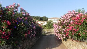 Un vialetto lastricato delimitato da muri in pietra con piante fiorite.
