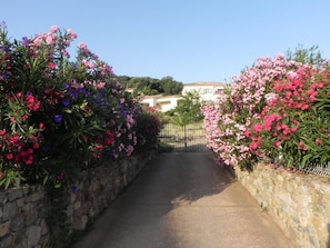 A paved pathway flanked by stone walls with flowering plants. - LE CERISIER - CATERI (CATERI)